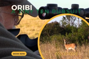 Oribi - A Tiny Ten Pursuit