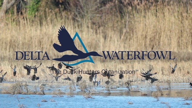 Delta Waterfowl - The Duck Hunters Organization